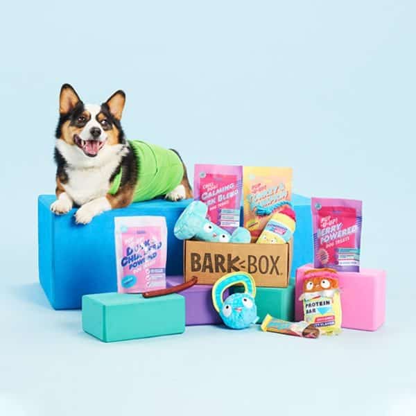 BarkBox Subscription Review Must Read This Before Buying