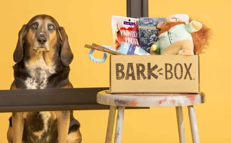 BarkBox Subscription Review - Must Read This Before Buying