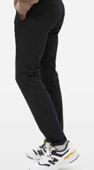 everlane chino