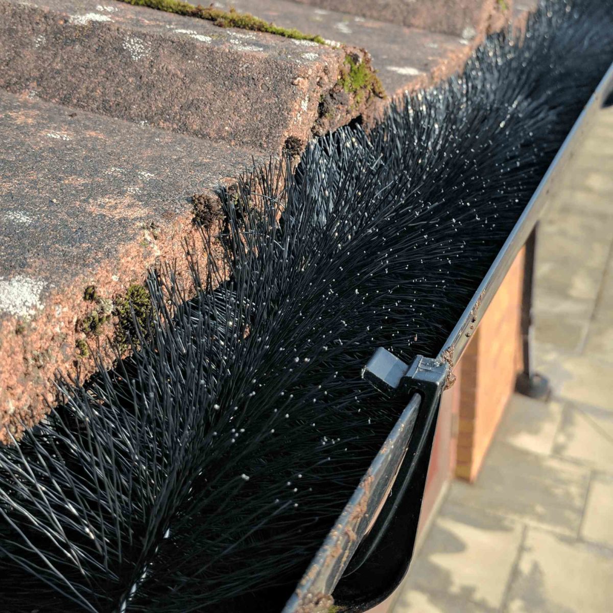 Leaf Filter Gutter Guards Review - Must Read This Before Buying