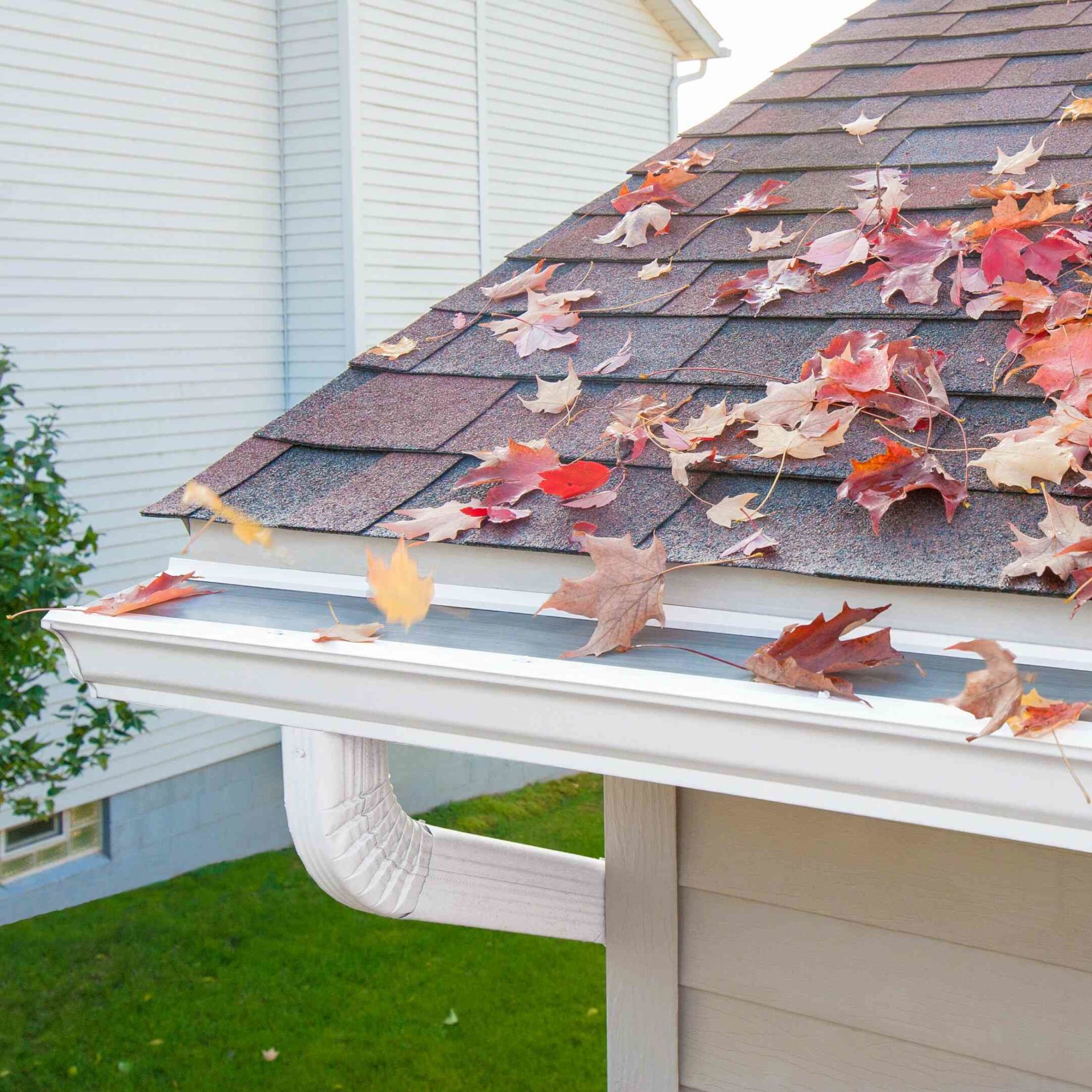 Leaf Gutter Reviews