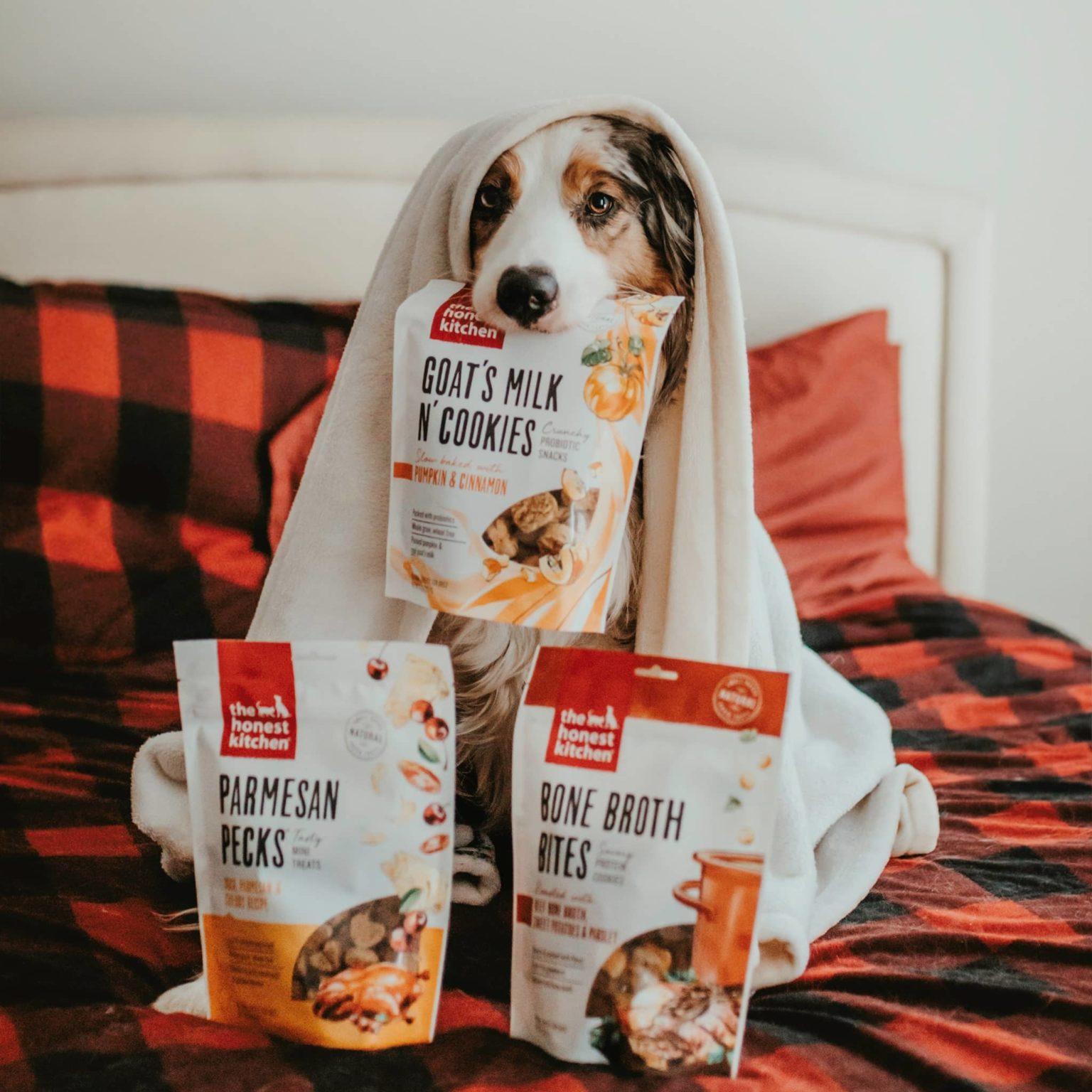 The Honest Kitchen Dog Food Review 16 1536x1536 