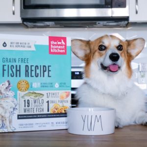 The Honest Kitchen Dog Food Review 18 300x300 