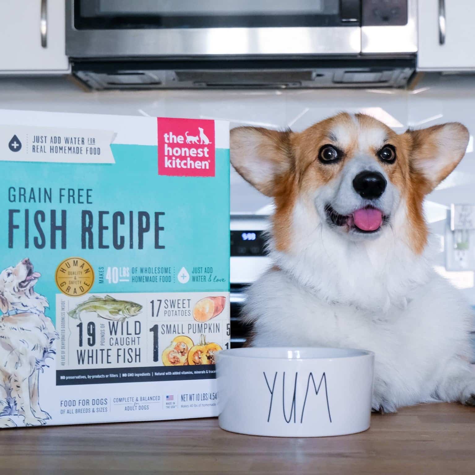 The Honest Kitchen Dog Food Review Must Read This Before Buying