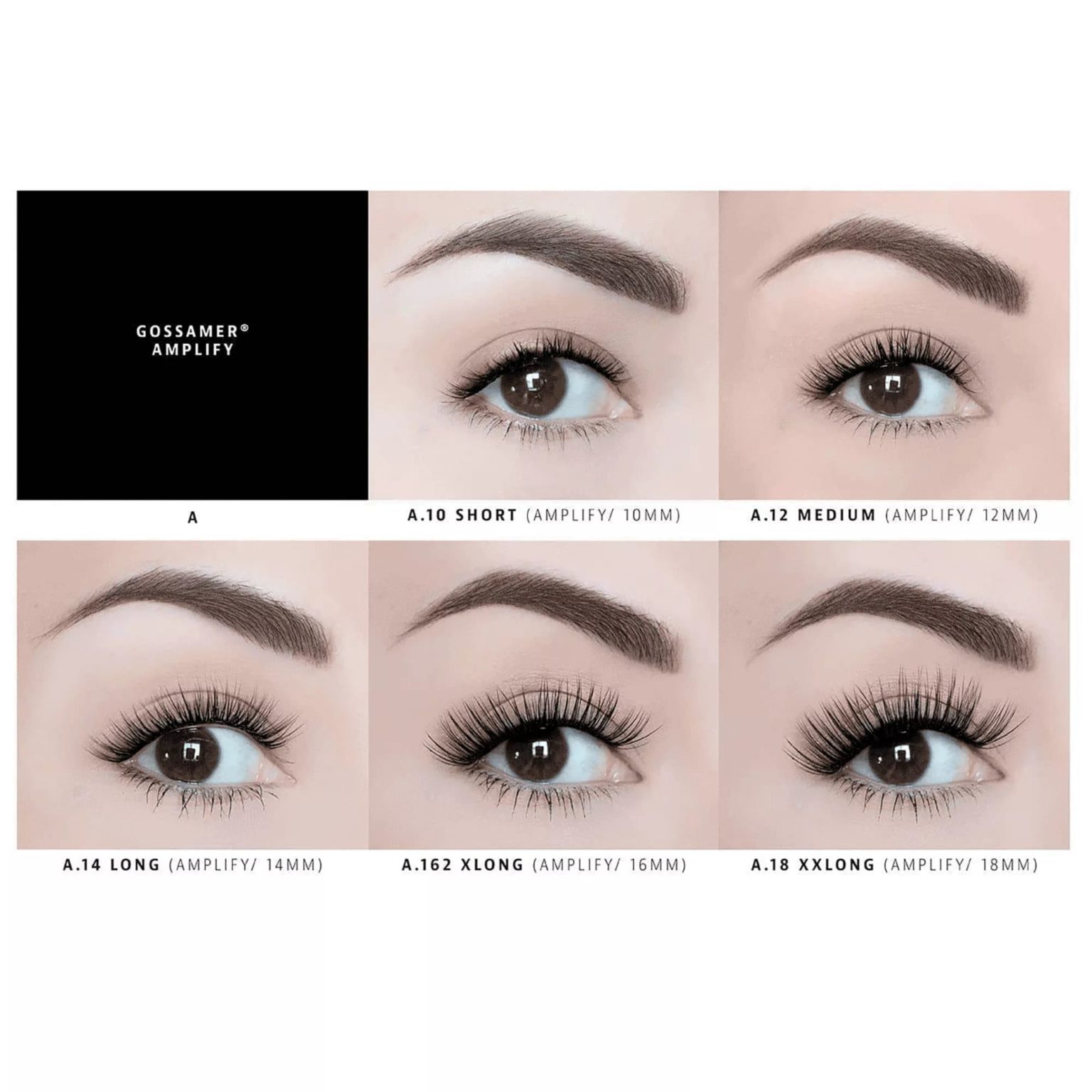 Lashify Lashes Review - Must Read This Before Buying