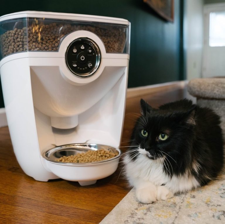 LitterRobot Review Must Read This Before Buying