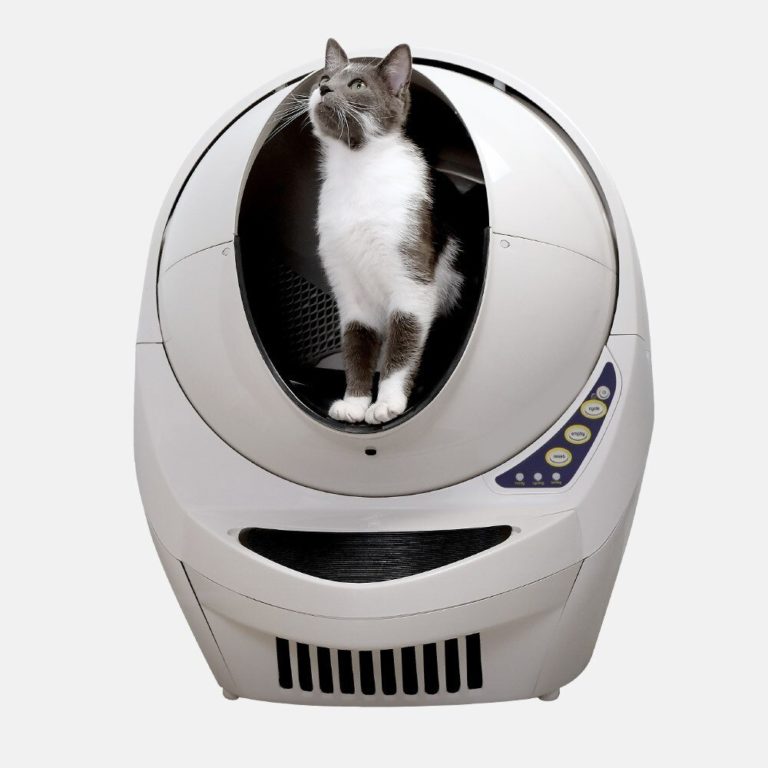 LitterRobot Review Must Read This Before Buying