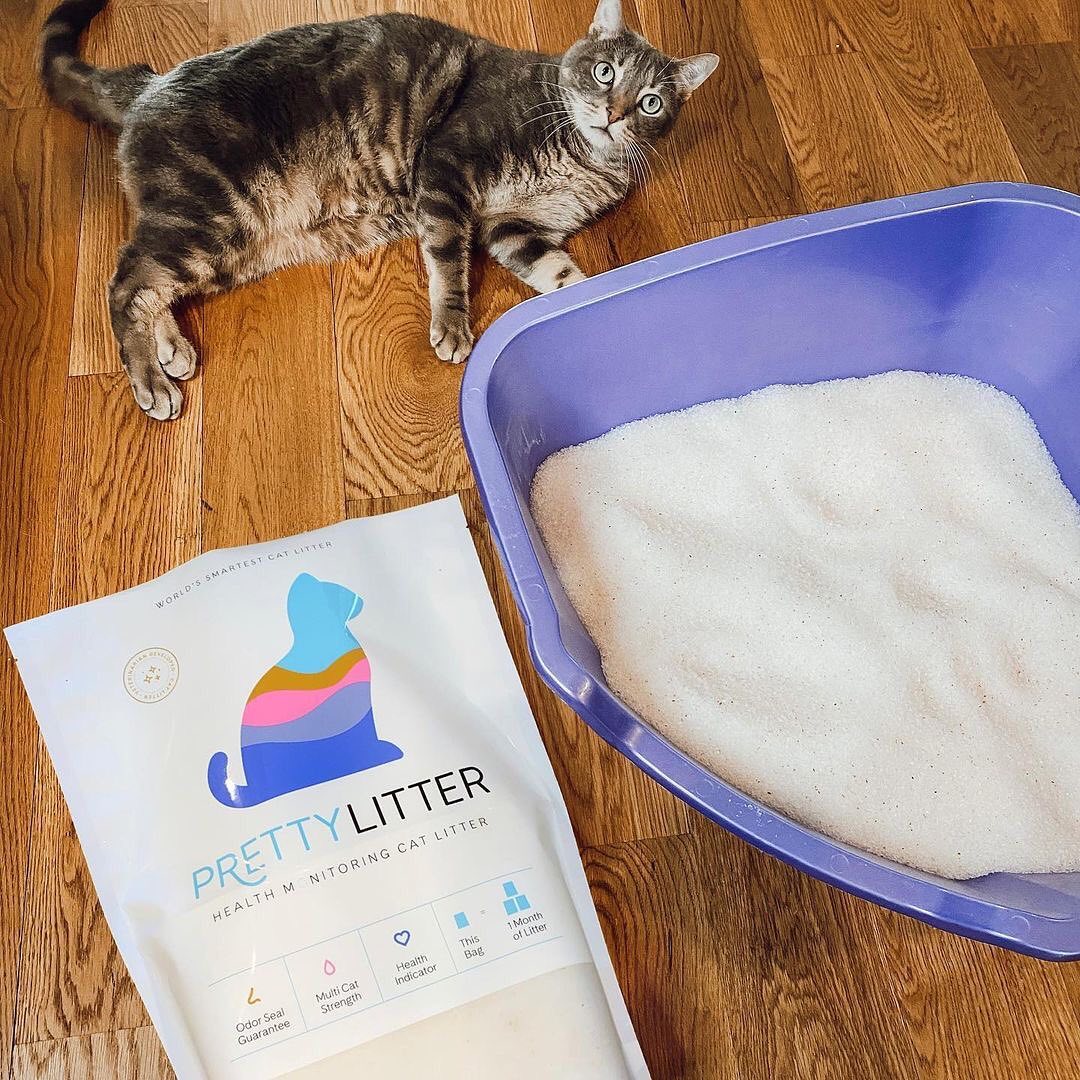 Pretty Litter Cat Litter Free Sample at William Partin blog