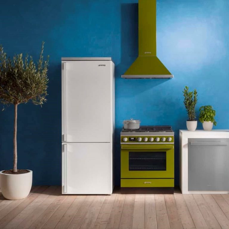 SMEG Fridges Review Must Read This Before Buying