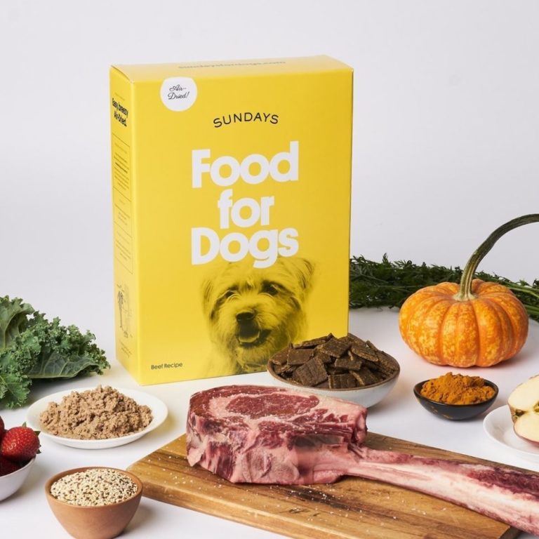 sundays-dog-food-review-must-read-this-before-buying