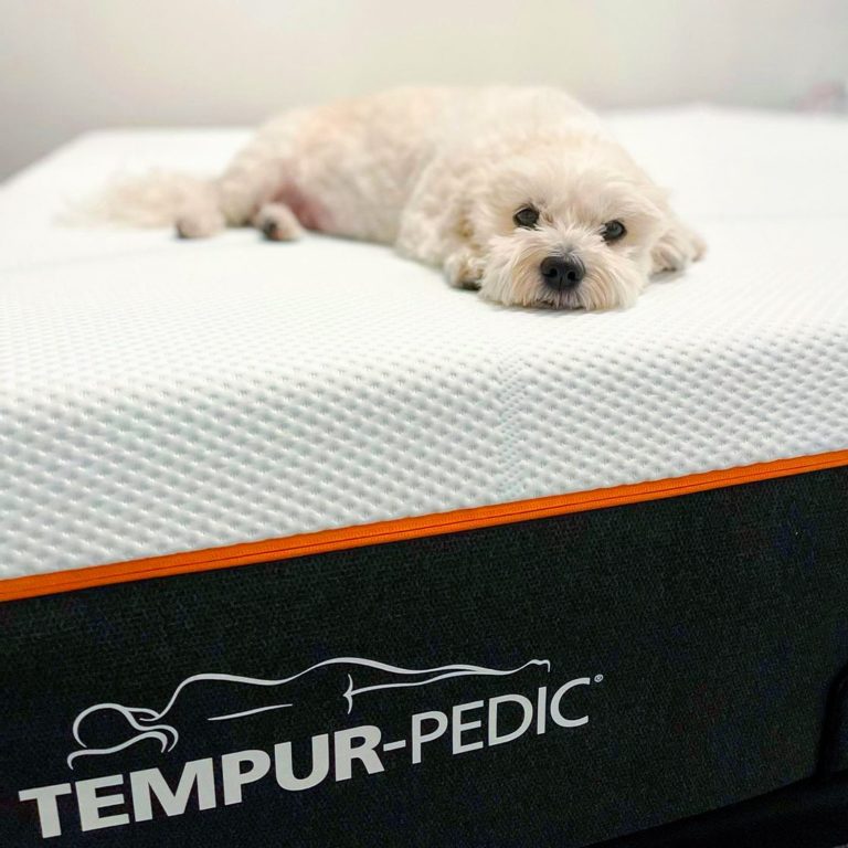 11 Best Mattress Brands Must Read This Before Buying