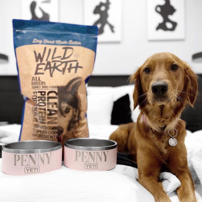 Wild Earth Dog Food Review - Must Read This Before Buying