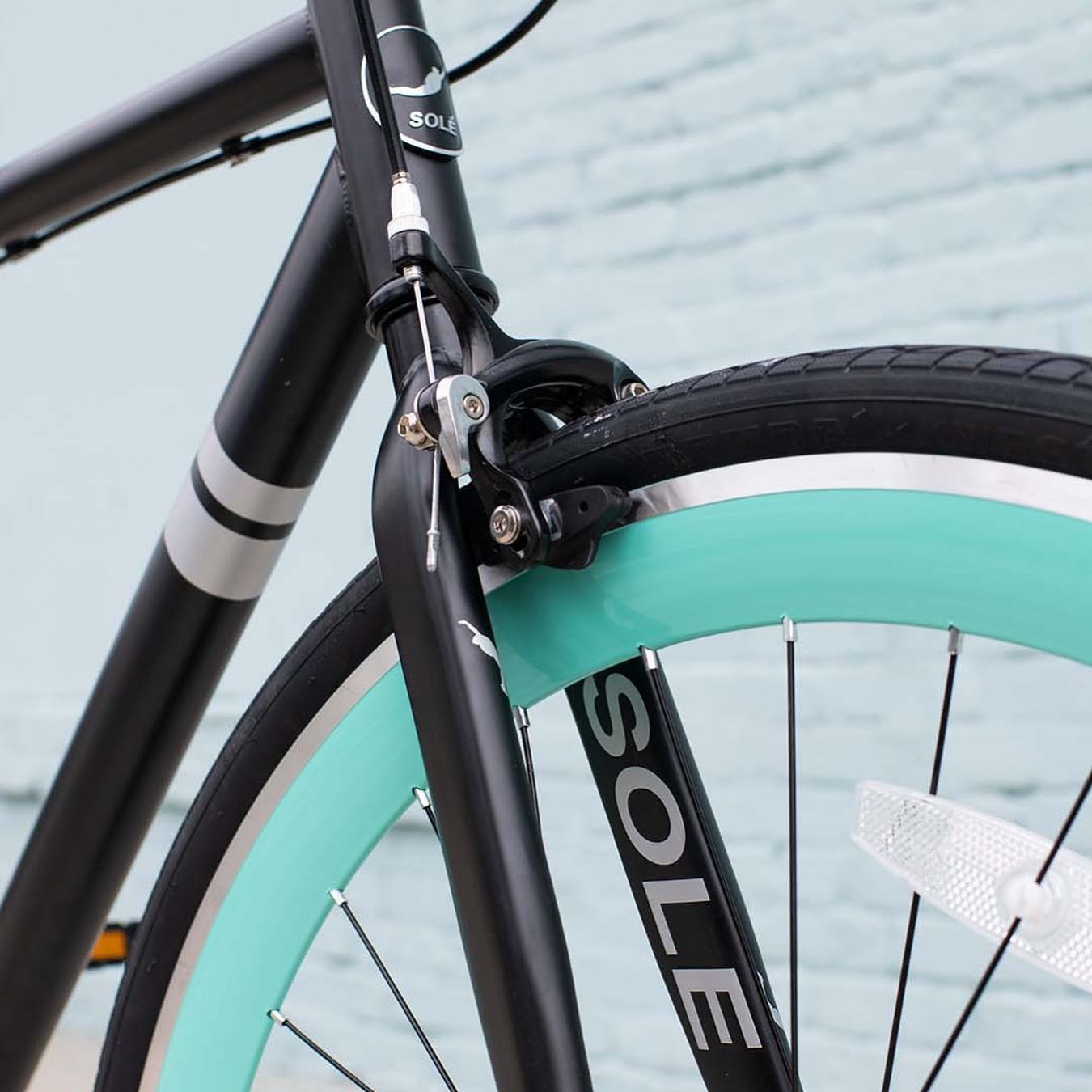 Sole fixie sale