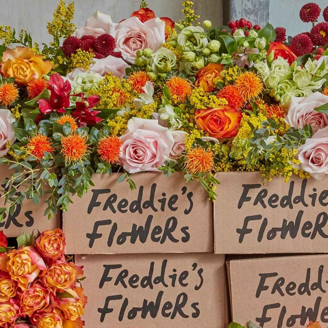 Freddies Flowers Review Must Read This Before Buying