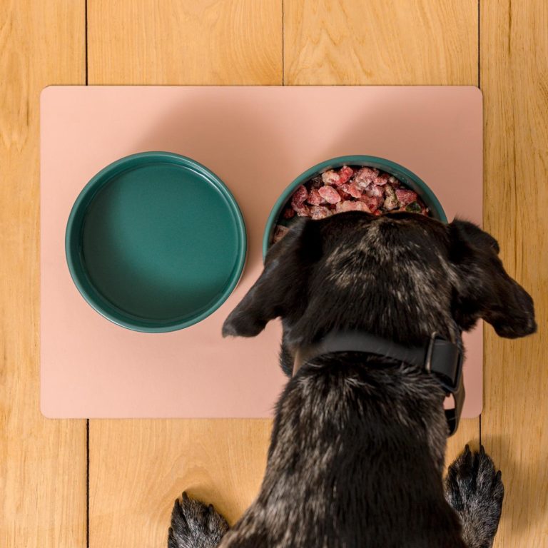 Maev Dog Food Review - Must Read This Before Buying