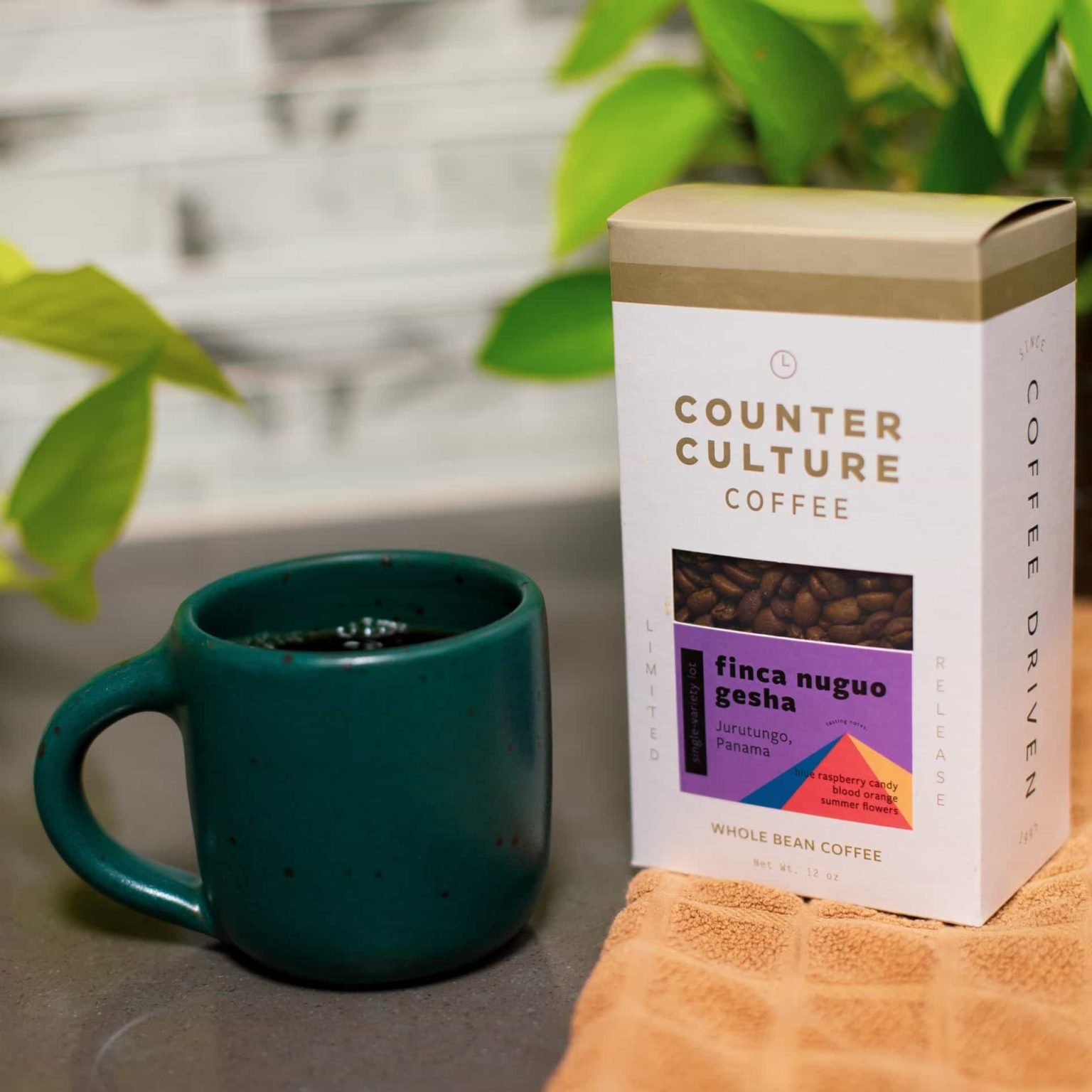 10 Best Coffee Brands Must Read This Before Buying