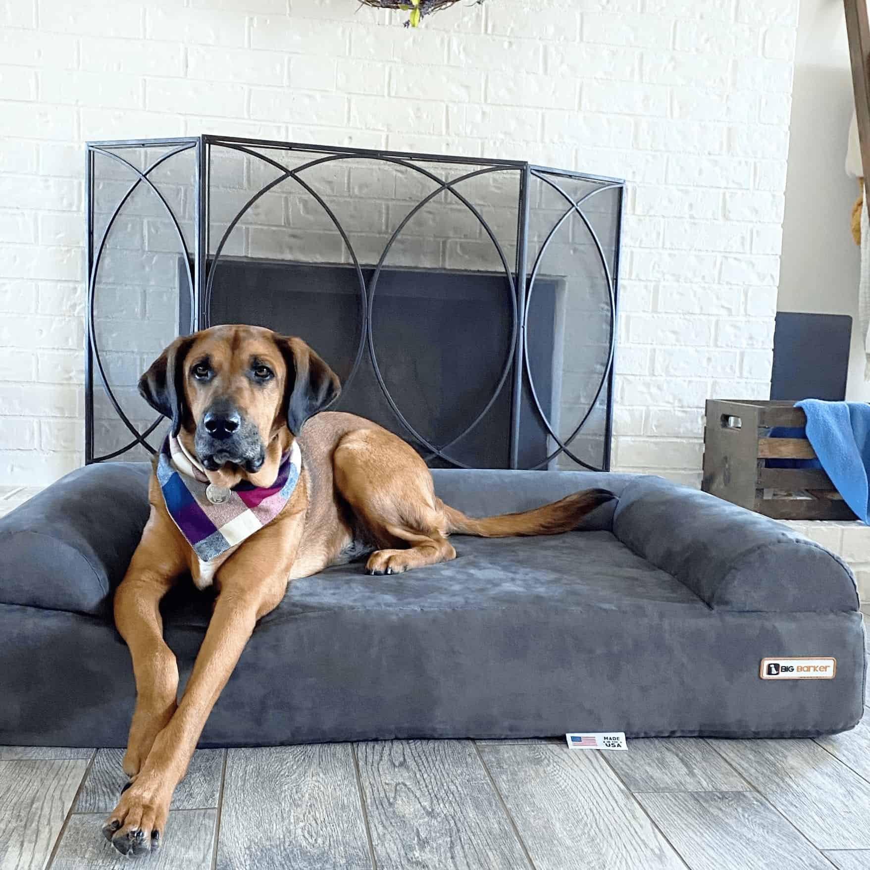 Big Barker Dog Bed Review Must Read This Before Buying