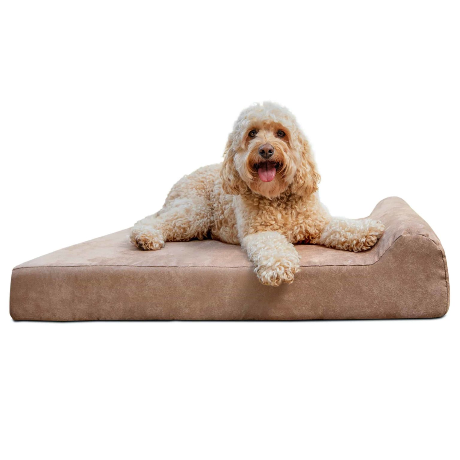 Big Barker Dog Bed Review - Must Read This Before Buying