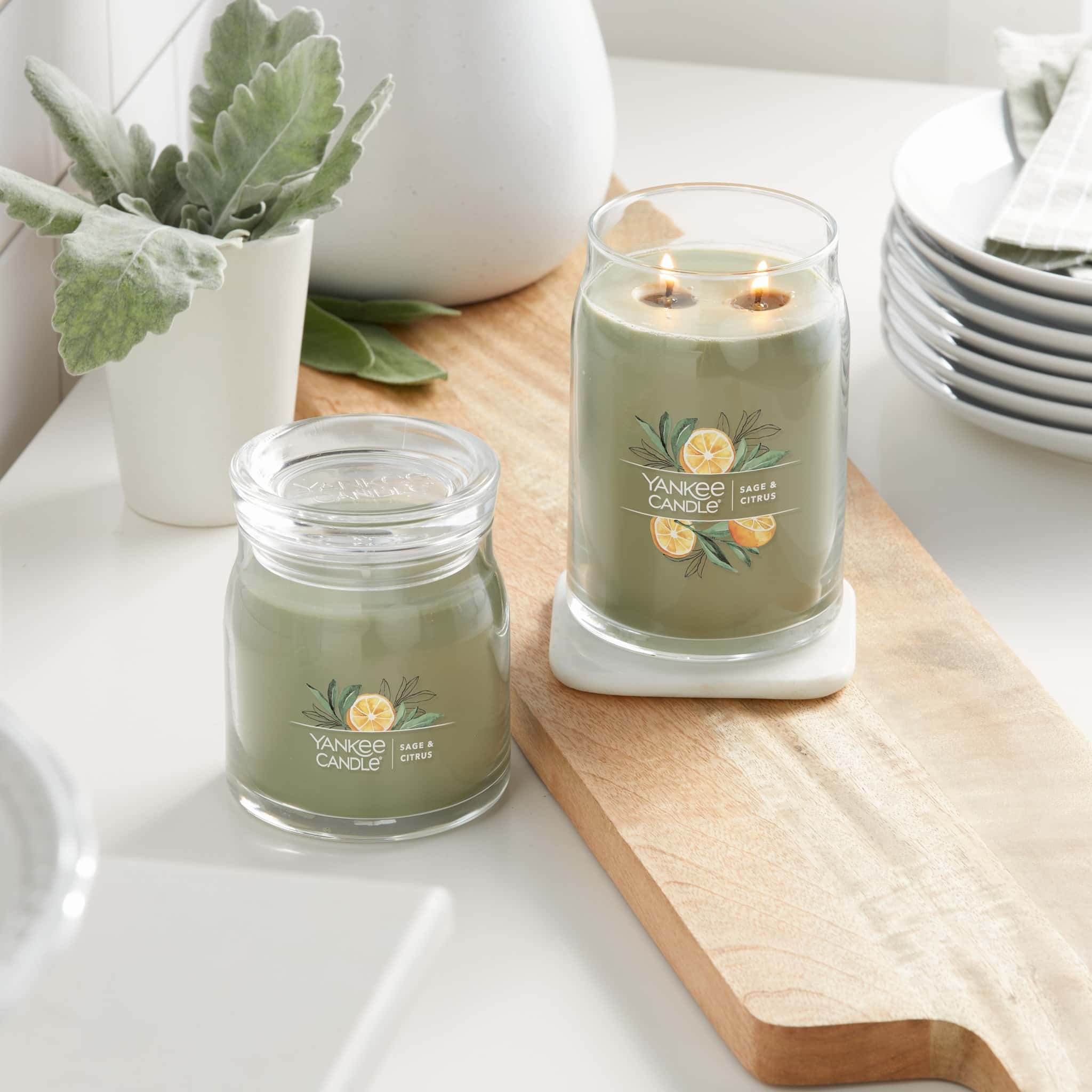 10 Best Candle Brands Must Read This Before Buying