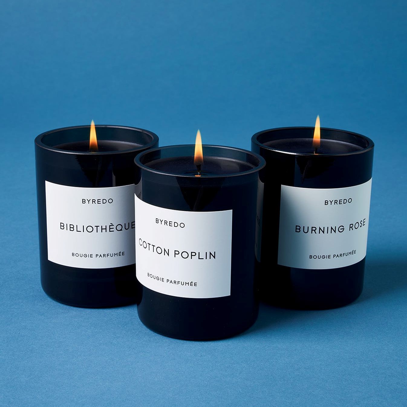 10 Best Candle Brands - Must Read This Before Buying