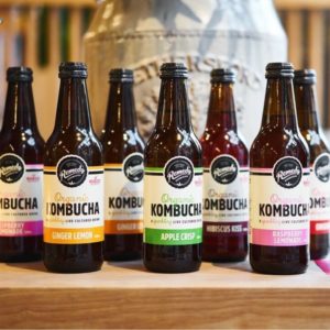 10 Best Kombucha Brands - Must Read This Before Buying