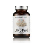 Best Lion's Mane Supplements - Must Read This Before Buying