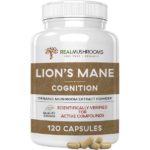 Best Lion's Mane Supplements - Must Read This Before Buying