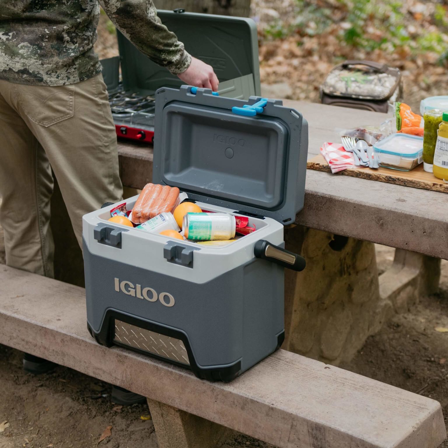 Igloo Coolers Review Must Read This Before Buying