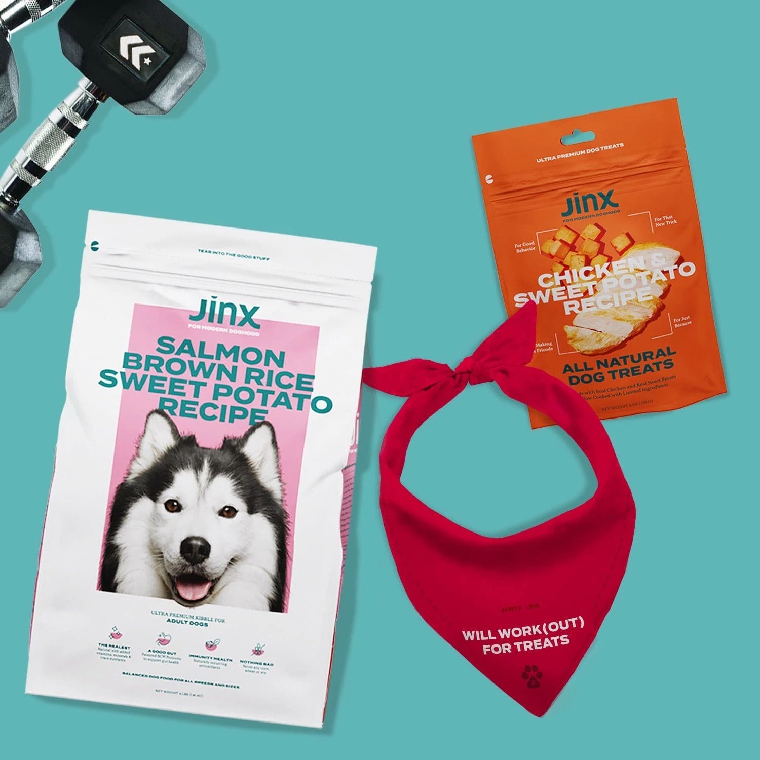 Jinx Dog Food Review Must Read This Before Buying