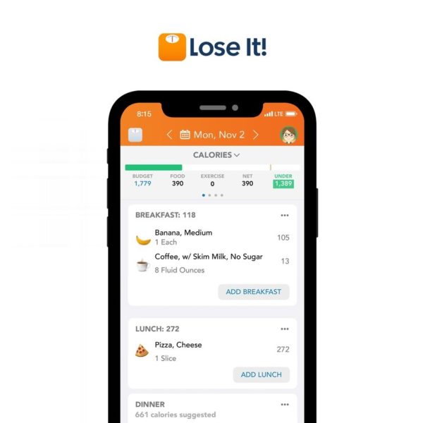 Lose it Review Must Read This Before Buying