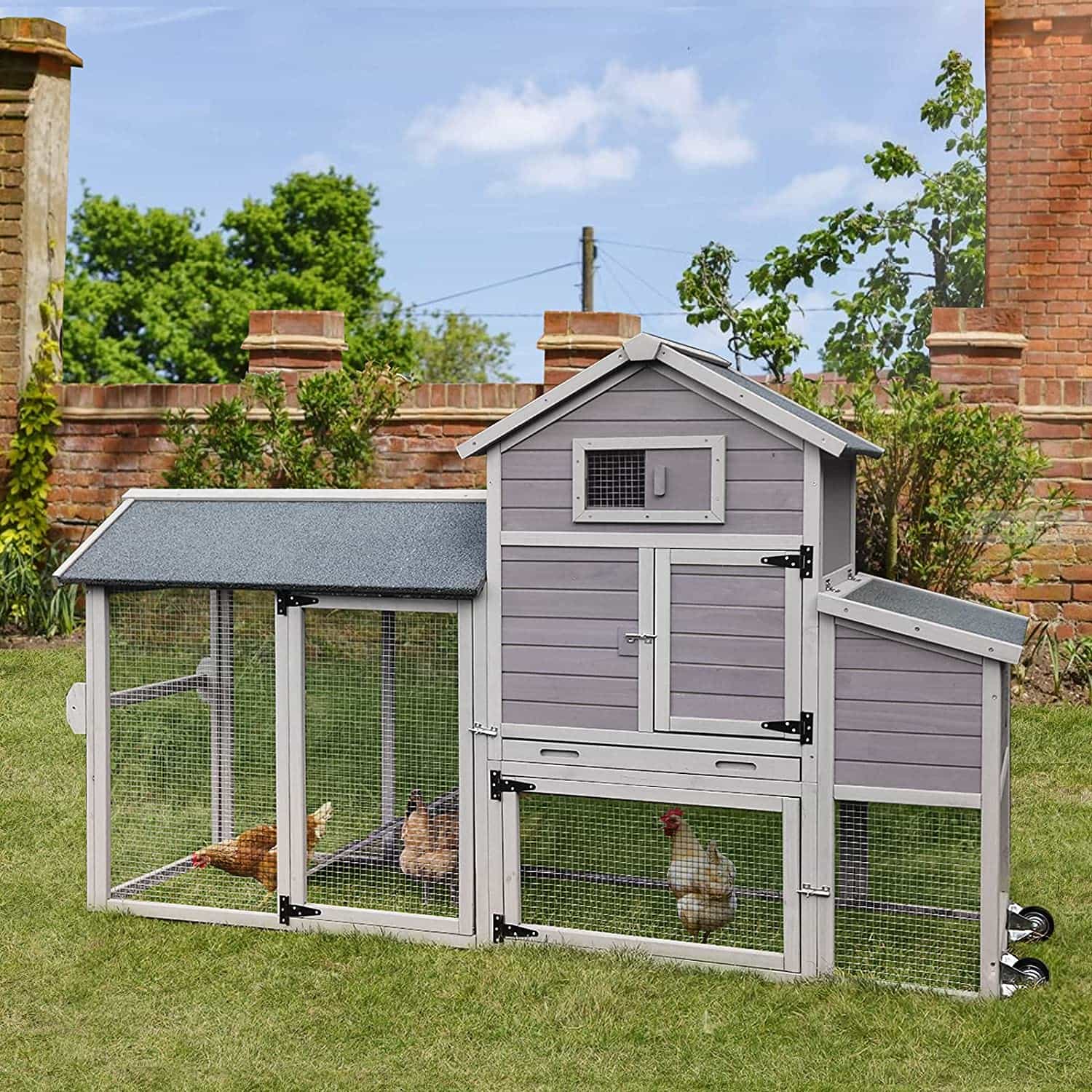 5 Best Chicken Coop Brands - Must Read This Before Buying