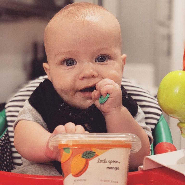 Little Spoon Baby Food Review - Must Read This Before Buying