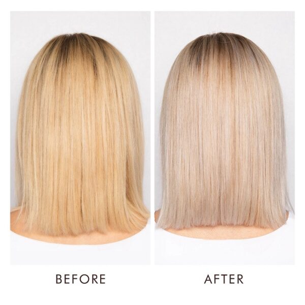 Purple Shampoo Before and After: Transform Your Blonde Hair - Must Read ...