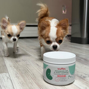 Wuffes Review: An In-Depth Look at the Popular Dog Joint Supplement ...