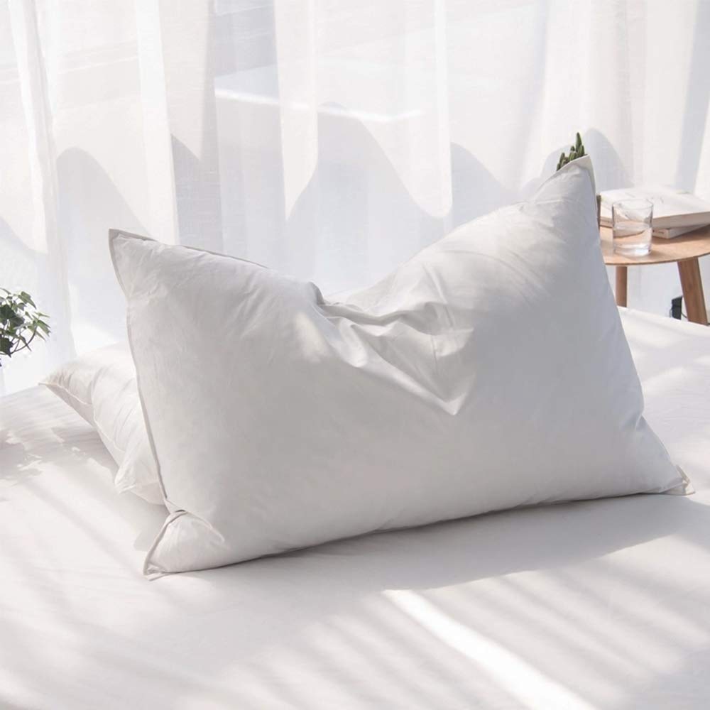 Best Down Pillows