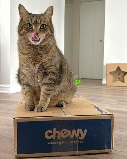 Chewy Canada Review