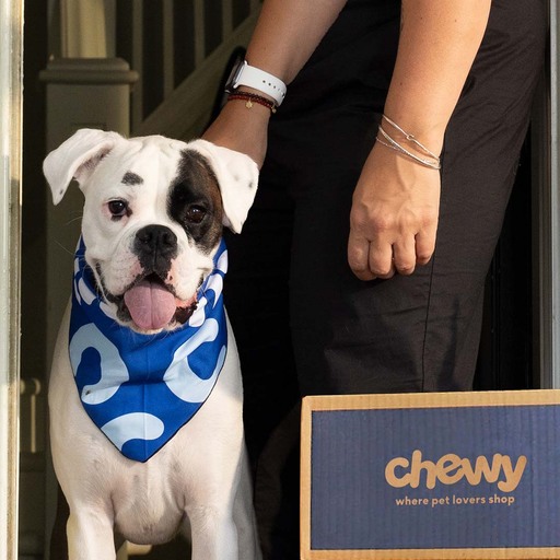 Chewy Canada Review