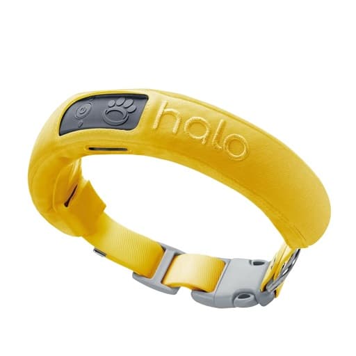 PetSafe’s GPS Collar vs Halo vs. SpotOn GPS Dog Fences