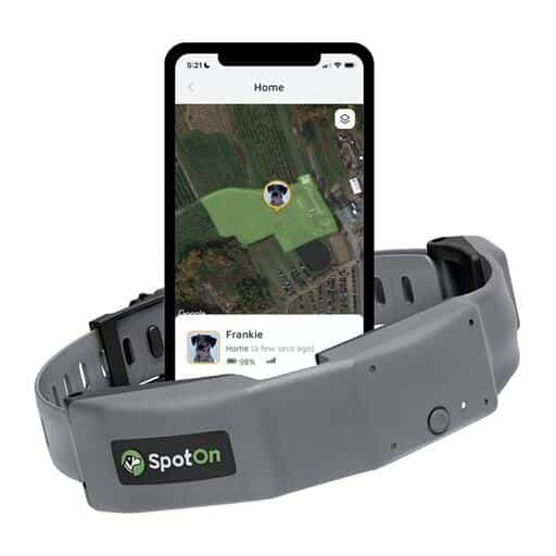 PetSafe’s GPS Collar vs Halo vs. SpotOn GPS Dog Fences