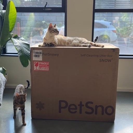 PetSnowy SNOW+ Self-Cleaning Litter Box Review