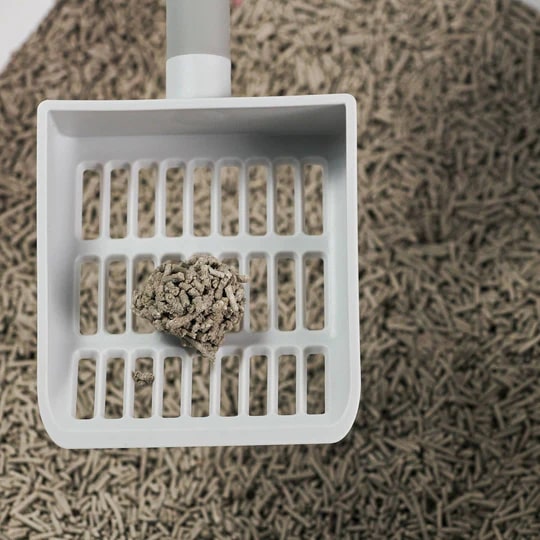 Best Flushable Cat Litter