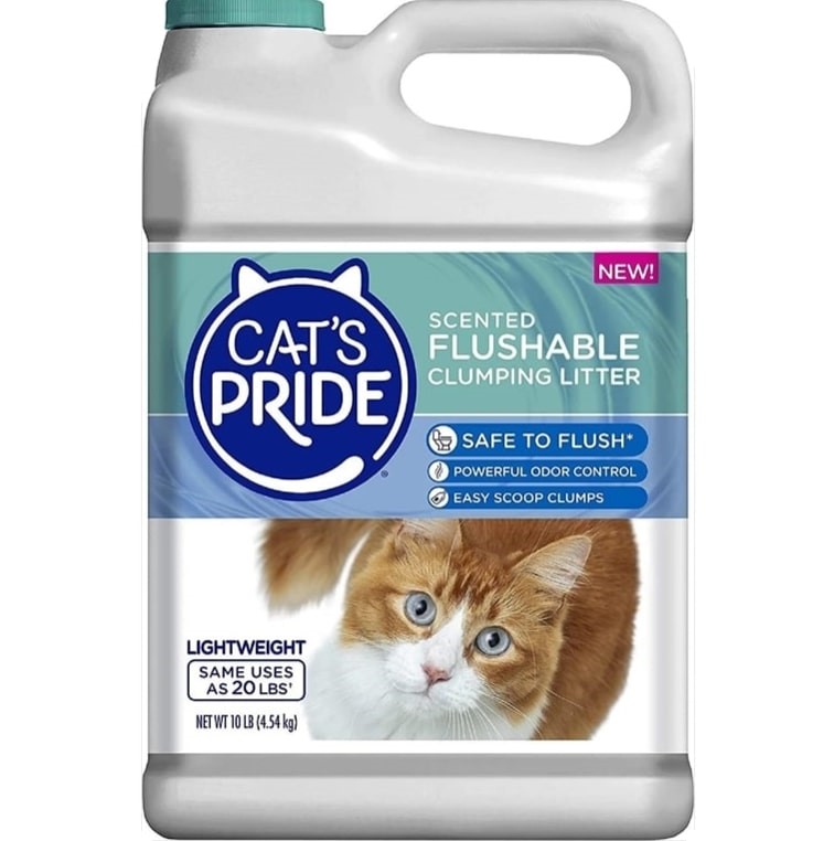 Best Flushable Cat Litter