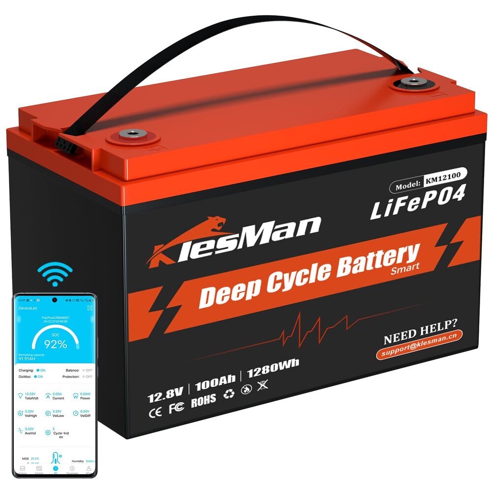 Best LiFePO4 Batteries