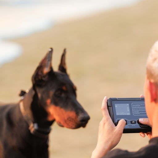 PetHey F900Plus Wireless Dog Fence Review