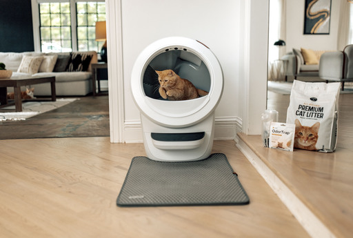 Litter robot bed bath and beyond best sale