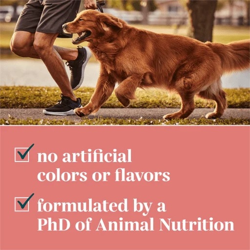 EverRoot Dog Health Supplements Review