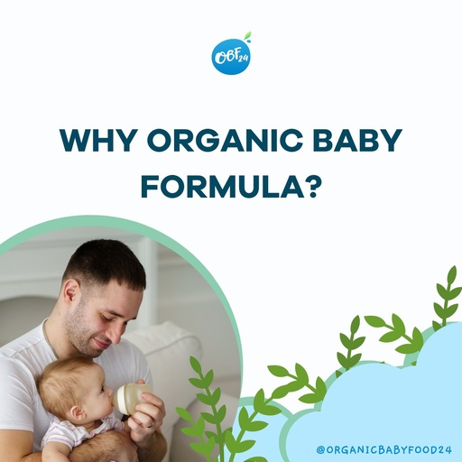 Organic Baby Food 24 Review