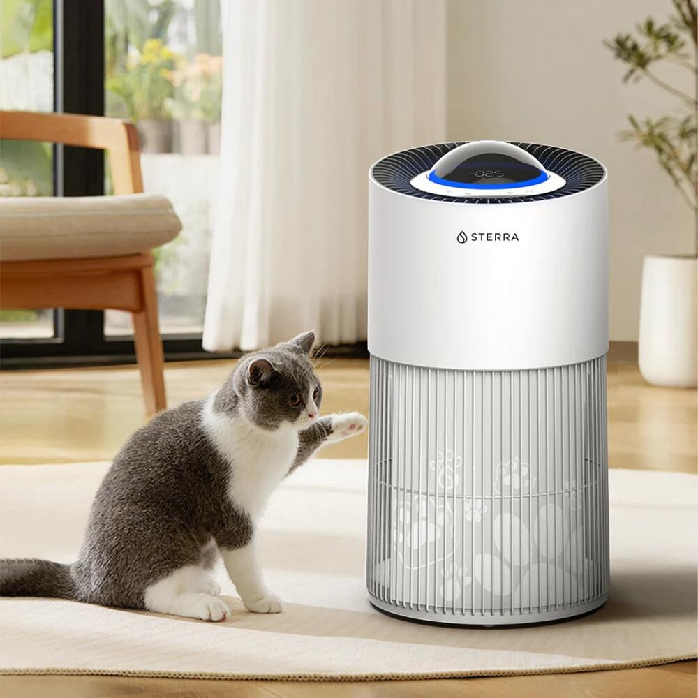 Top 10 Air Purifiers For Pets: Improve Your Home's Air Quality