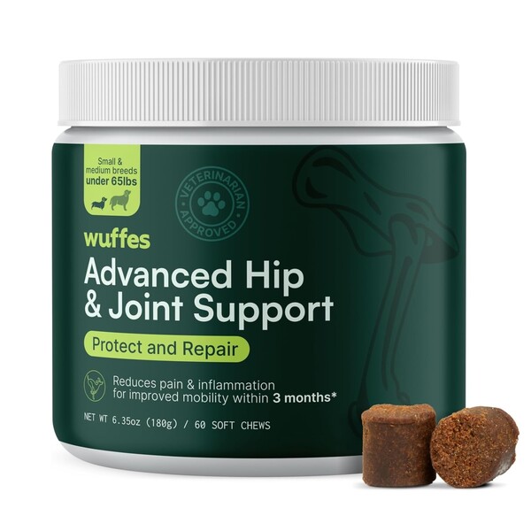 Best Hip and Joint Supplement for Dogs