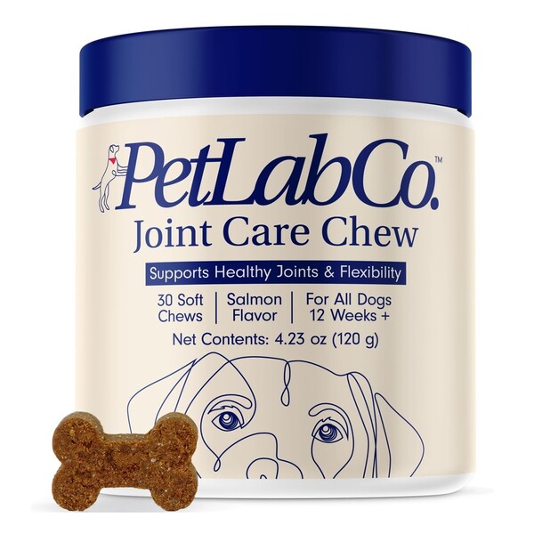 Best Hip and Joint Supplement for Dogs